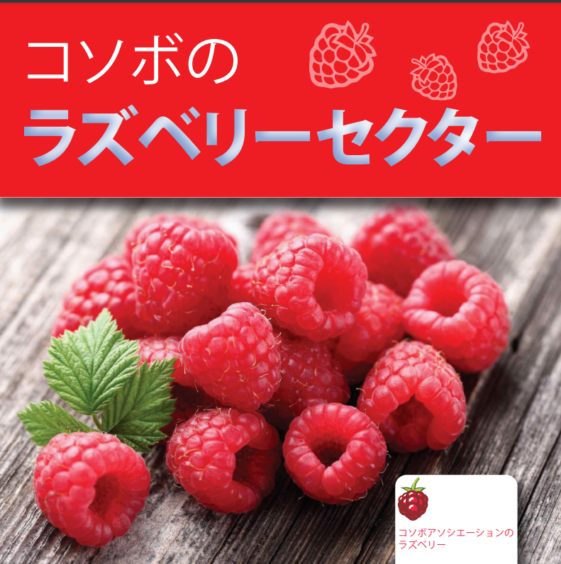 Katalogu Mjedra - Japonisht